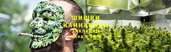 дурь Белоозёрский