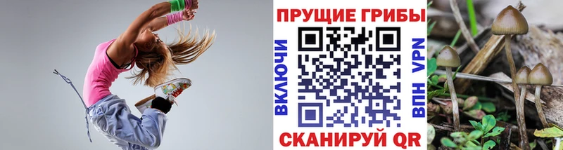 Псилоцибиновые грибы Psilocybine cubensis Янаул